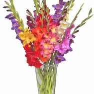 Bright bouquet with gladioli of different colors