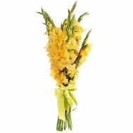 Yellow gladioli in a bouquet