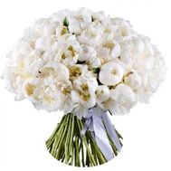 101 white peonies