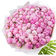 101 imported peonies