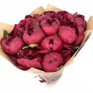 11 burgundy peonies