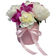 11 peonies in a box
