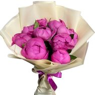 11 hot pink peonies
