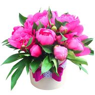 15 pink peonies in a box