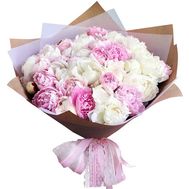25 white and pink peonies