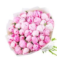 25 imported peonies