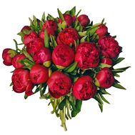 25 peonies