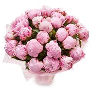 29 peonies