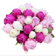 29 colorful peonies