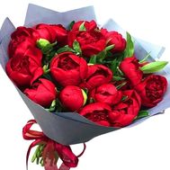 35 burgundy peonies