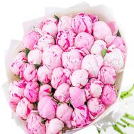 35 imported peonies