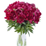 35 peonies