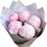 5 pink imported peonies