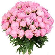 51 imported peonies