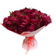 51 peonies