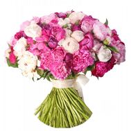 51 multicolored peonies