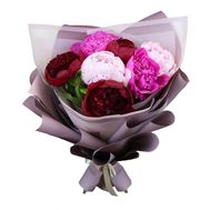7 mixed color peony