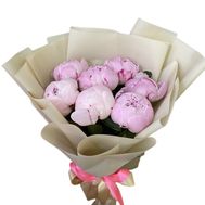 7 pink imported peonies
