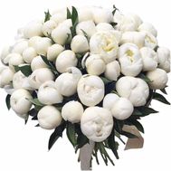 75 peonies