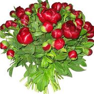 Bouquet 31 peonies