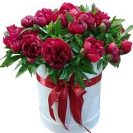 Bouquet peonies in a box