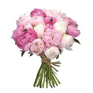 Multicolored peonies