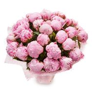 Stylish bouquet of peonies
