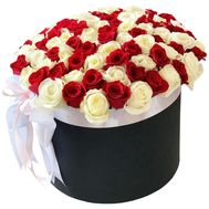 101 white and red roses in a box