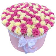 101 white and pink roses in a box