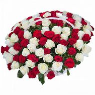 101 red and white roses in a basket
