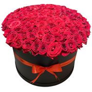 101 red roses in a box