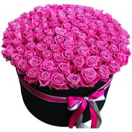 101 pink roses in a box