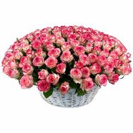 101 Jamilia roses in a basket