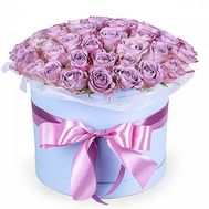 51 lilac roses in a box