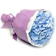 Bouquet of 1 hydrangea