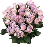 Bouquet of 27 lilac roses