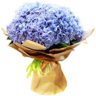 Bouquet of 5 hydrangeas