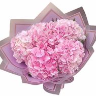 Букет из розовой гортензии