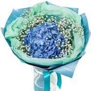 Bouquet of 1 hydrangea