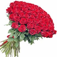 Dutch meter 101 roses
