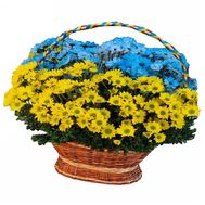 Basket in the colors of the flag of Ukraine with a chrysanthemum