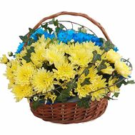 Yellow-blue flowers in a basket