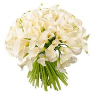101 Calla Lilies