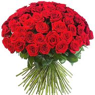 65 red roses