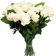 31 white rose