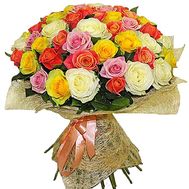 51 multi-colored rose