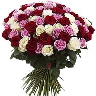 65 multi-colored roses