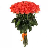 Bouquet of 31 roses