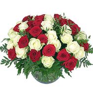 41 red and white roses