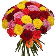 37 multi-colored roses